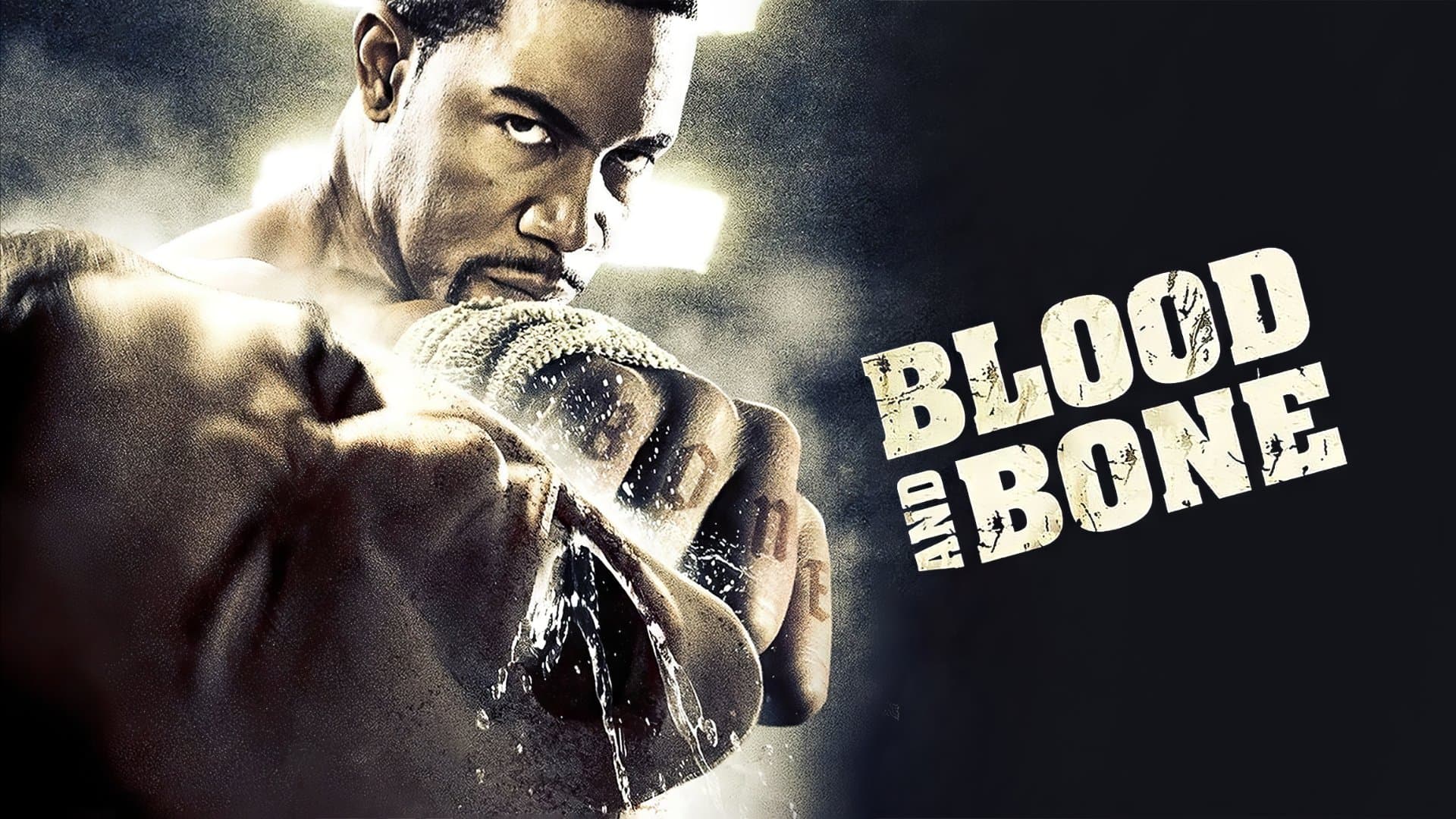 Blood and Bone (2009) 720p + 1080p BluRay x265 10bit HEVC [Org Hindi DD 2.0 ~ 224Kbps + English DTS-HDMA 5.1] MSubs