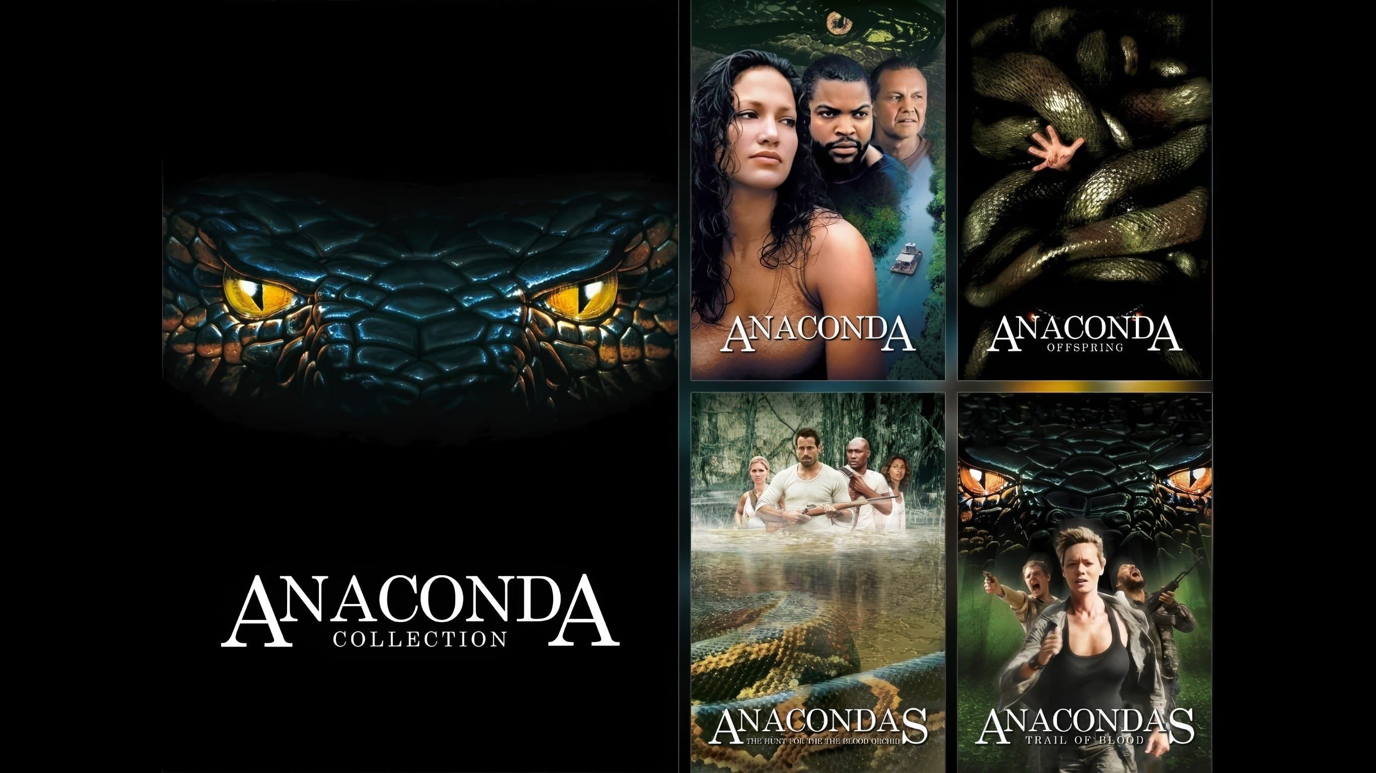 Anaconda Quadrilogy (1997-2009) Collection 720p + 1080p BluRay x265 10bit HEVC Dual Audio [Hindi + English] MSubs