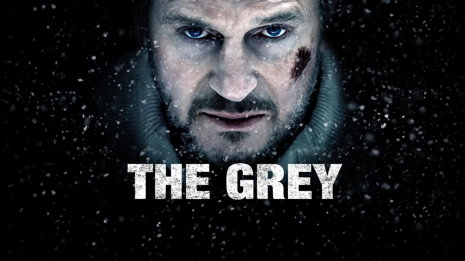 The Grey (2011) 720p + 1080p BluRay x265 10bit HEVC Multi Audio [Org AMZN Hindi-Tamil-Telugu DDP 2.0 ~ 224Kbps + English DTS-HDMA 5.1] MSubs