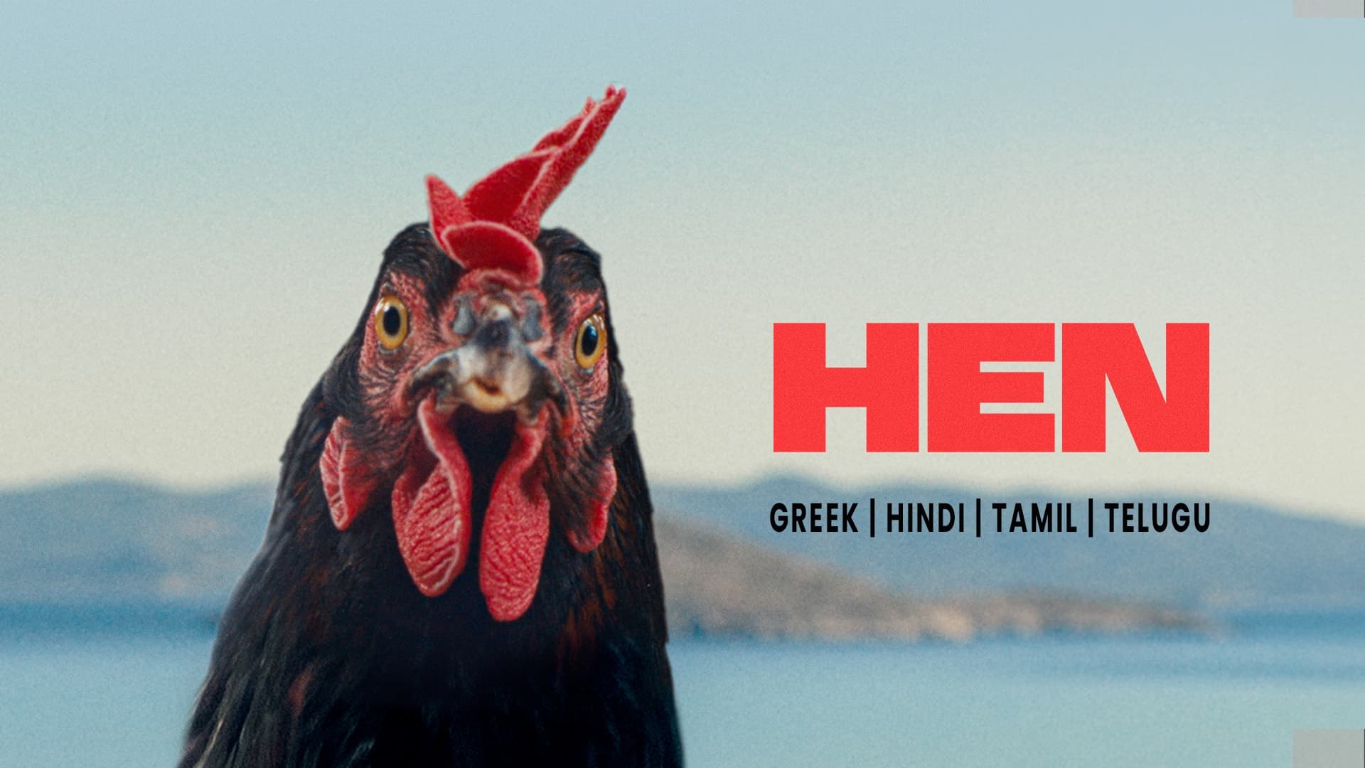 Hen (2026) 720p + 1080p AMZN WEB-DL x265 10bit HEVC Multi Audio [Hindi + Tamil + Telugu + Greek] DDP 5.1 MSubs