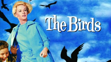 The Birds 1963 Google Drive Download