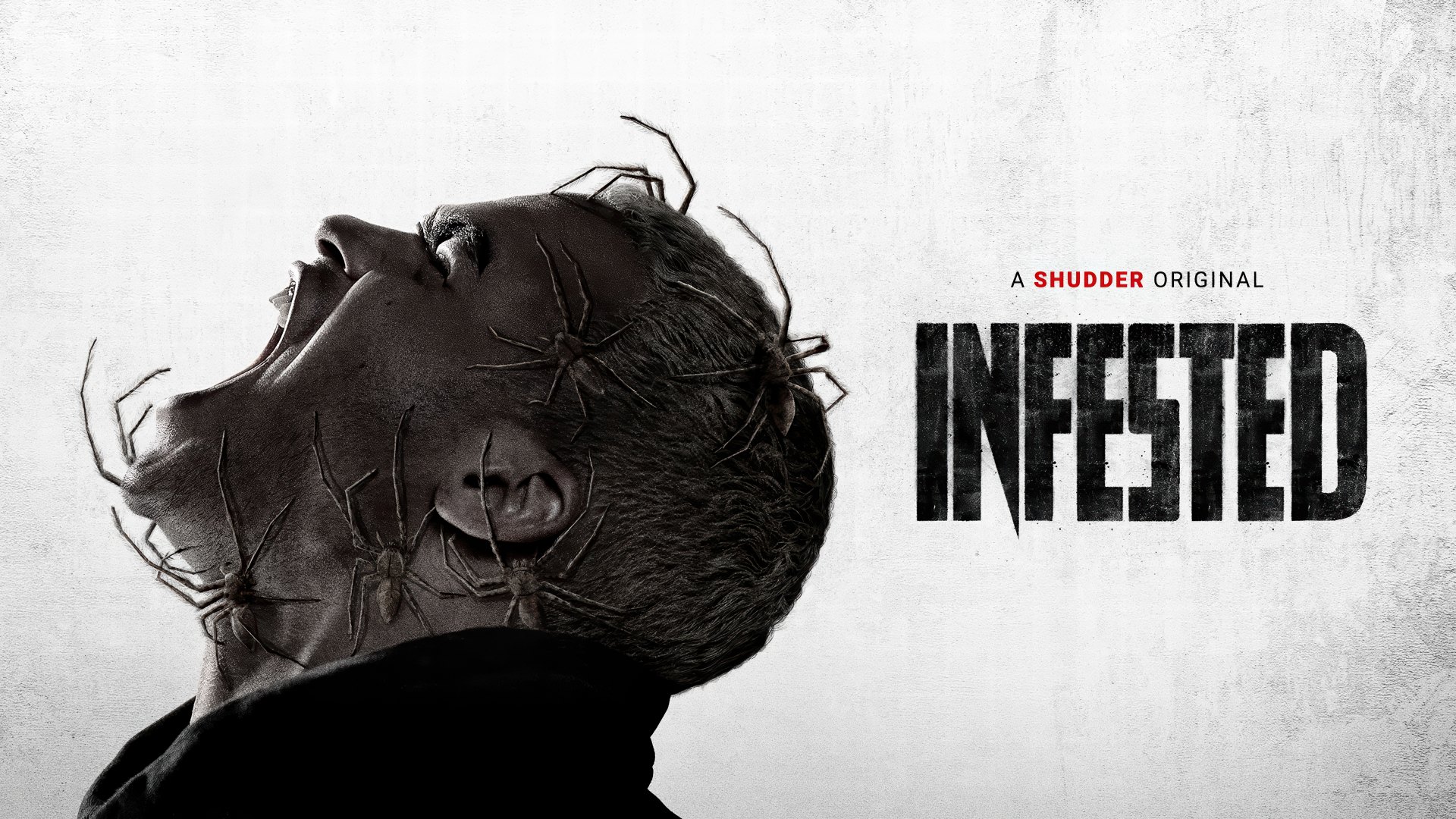 Infested aka Spiders aka Vermines (2023) Google Drive Download
