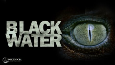Black Water (2007)